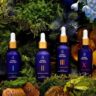 Astonishing Vegan Herbal Skincare Products Transforming Beauty Regimens