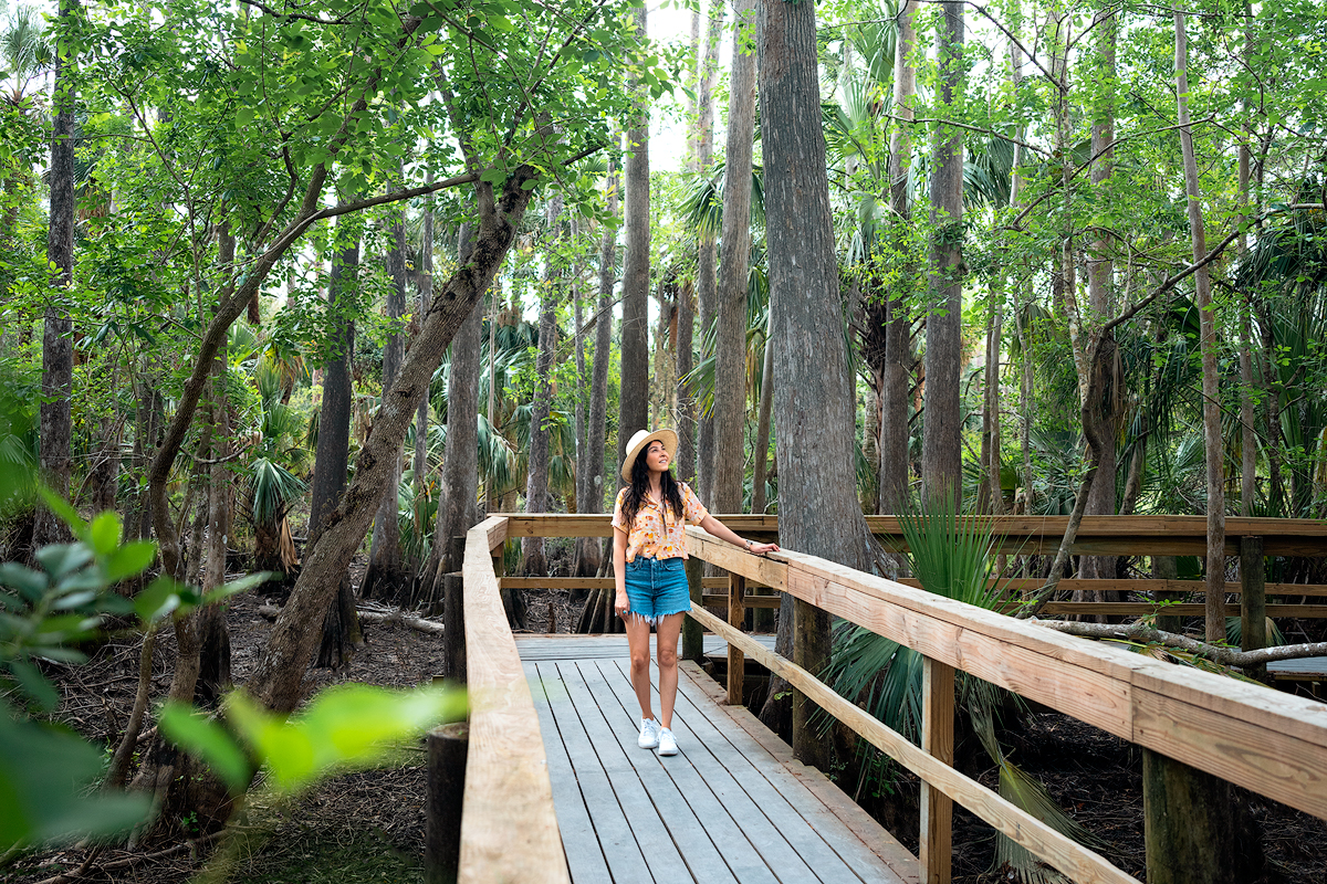 7 Best Things To Do In Punta Gorda Florida